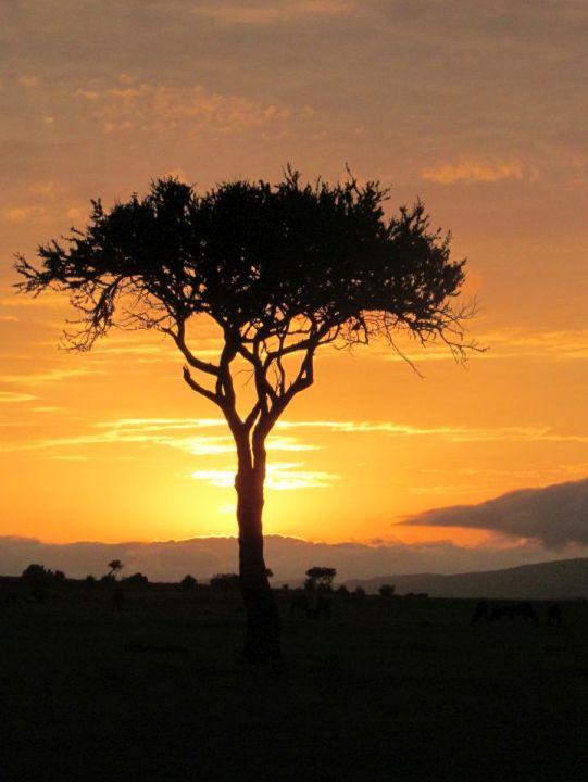 Napfelkelte Masai Marában